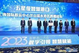 菲尼克斯太阳发布备战花絮，窗口期迎来里程碑，德国杯任务艰巨，身体对抗强度拉满的简单介绍