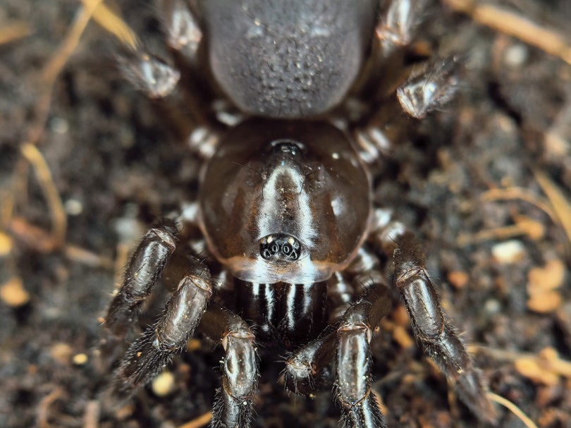 躿(躿体瘦身一般瘦哪里)